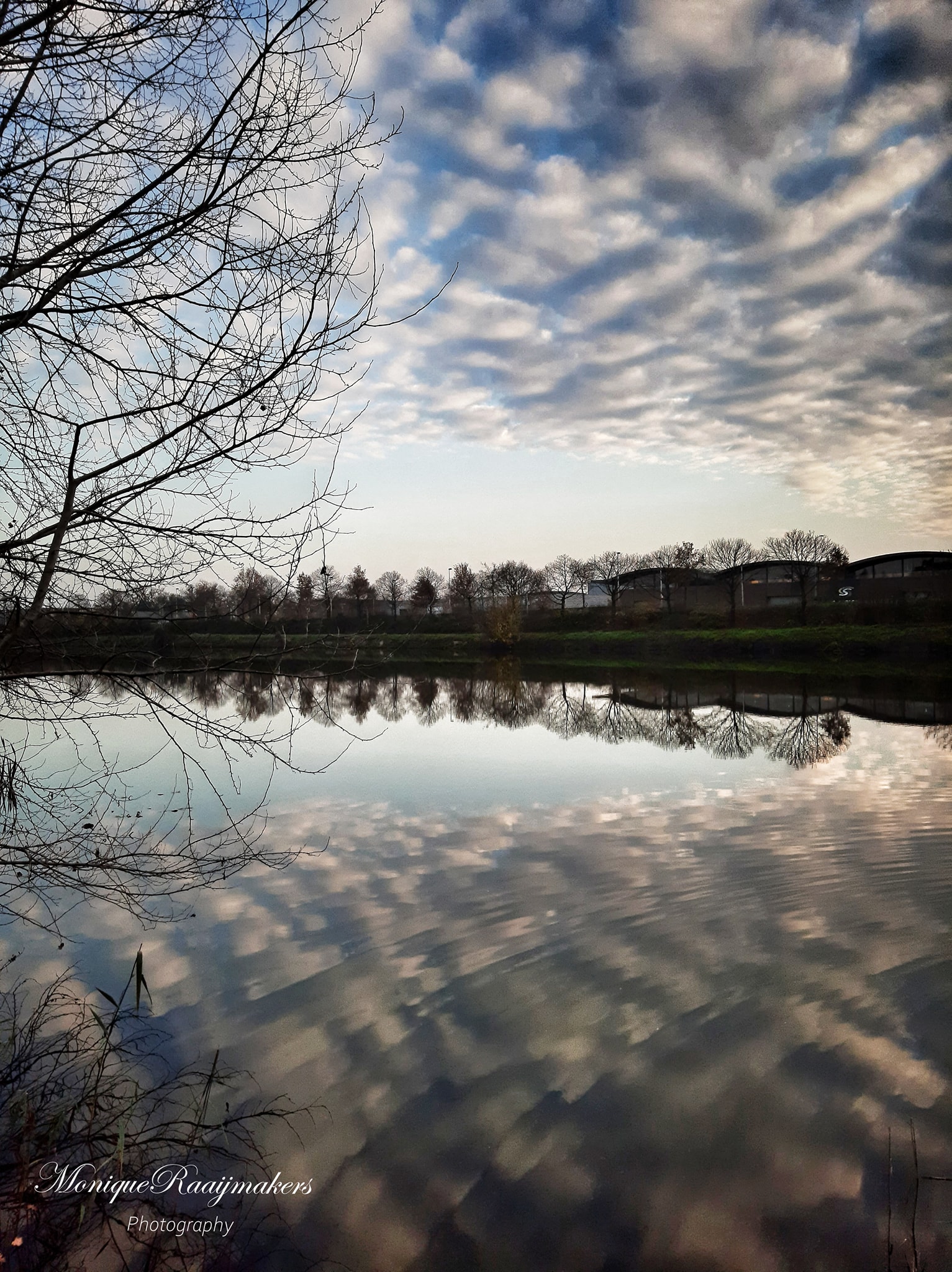 CLOUDY REFLECTION